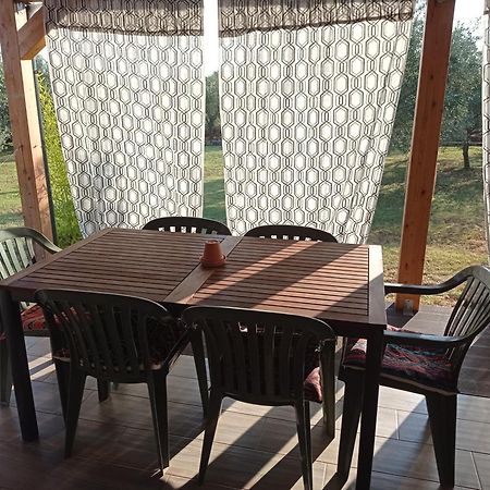Nature Home Eco-Friendly Pet-Friendly Фажана Экстерьер фото