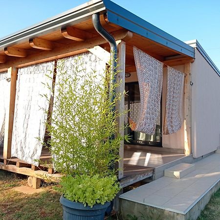 Nature Home Eco-Friendly Pet-Friendly Фажана Экстерьер фото