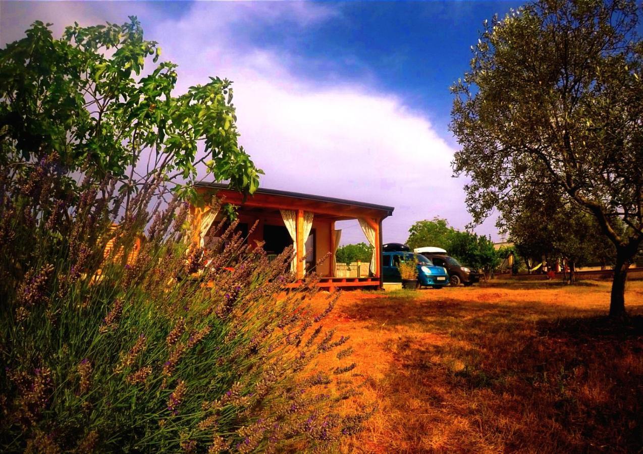 Nature Home Eco-Friendly Pet-Friendly Фажана Экстерьер фото